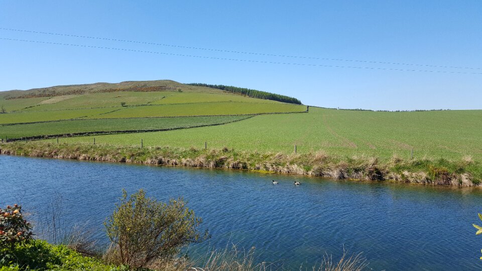 Landscape meadow outdoor photo