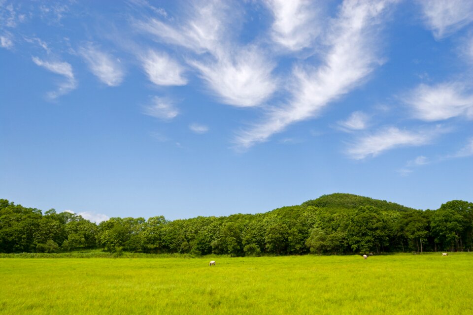 Sky cloud blue sky