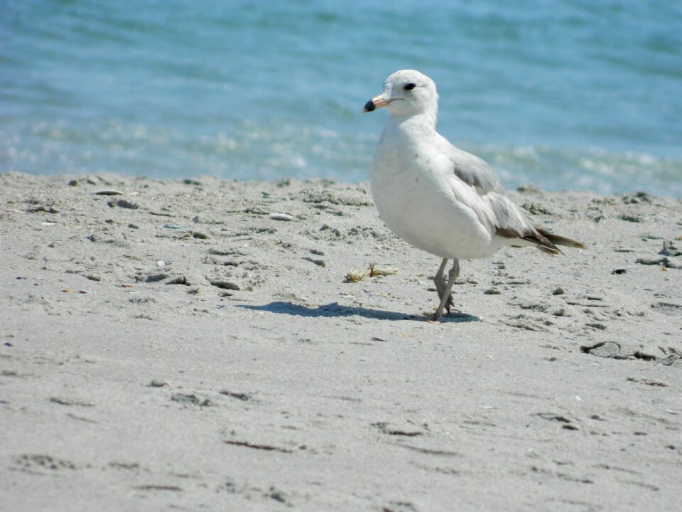 Ocean beach