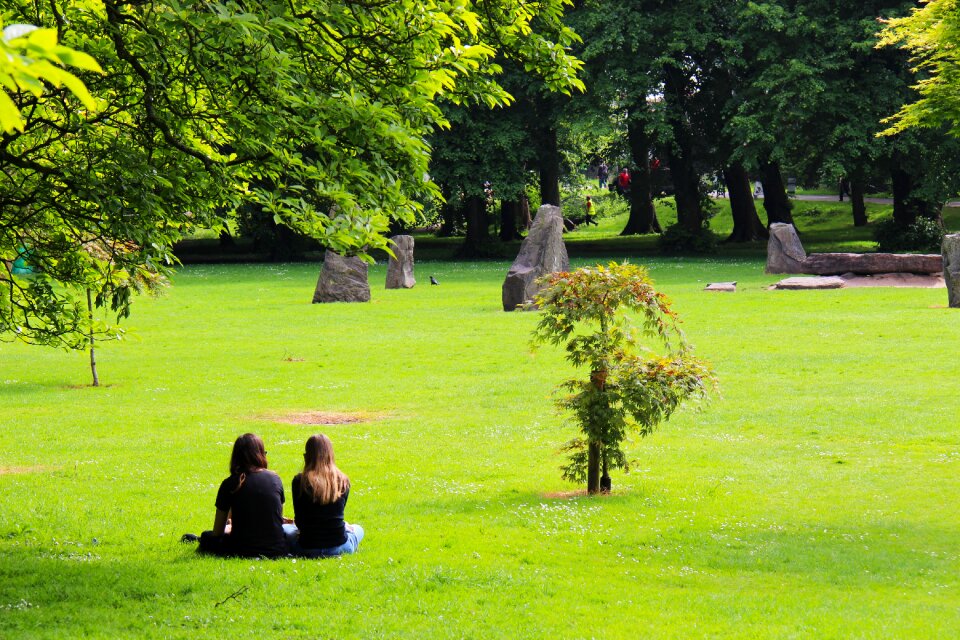 Summer green outdoor photo