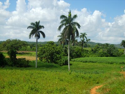 Landscape cuba vinales