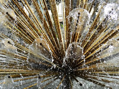 Water art pond