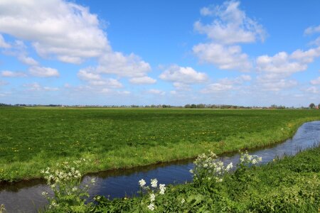 Meadow wide sky