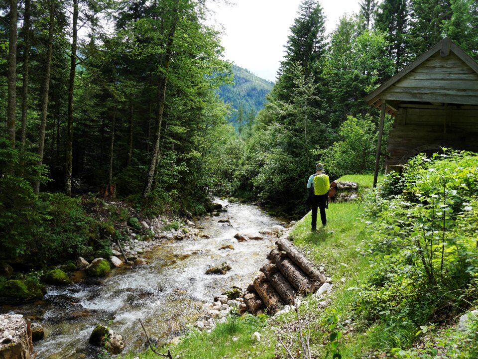 Nature personal bach