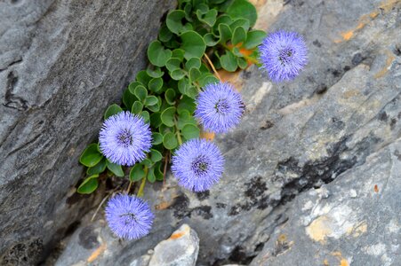 Apuane carrara tuscany