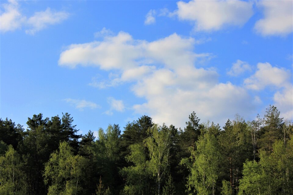Nature blue sky clouds