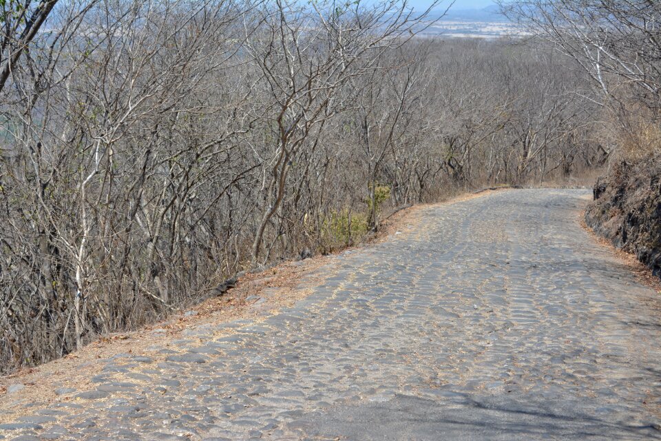 Path landscape desert