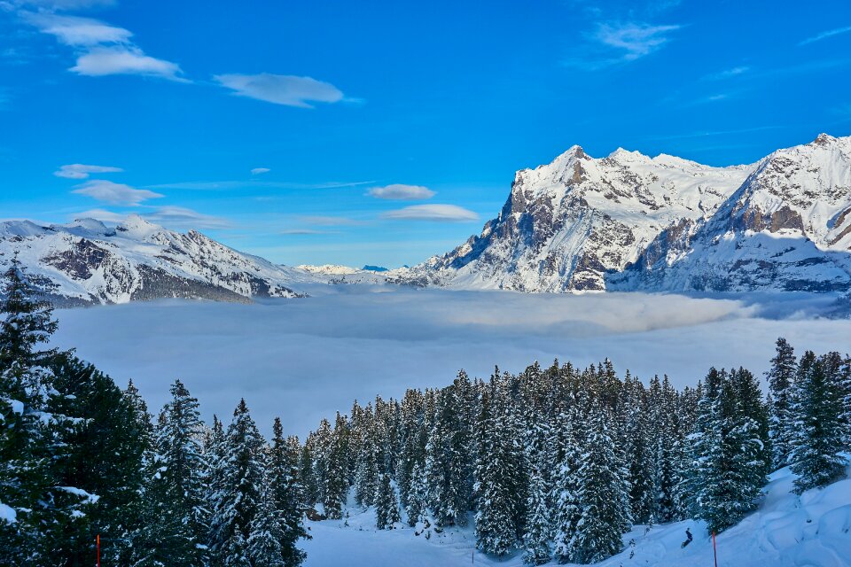 Snow winter sports ski