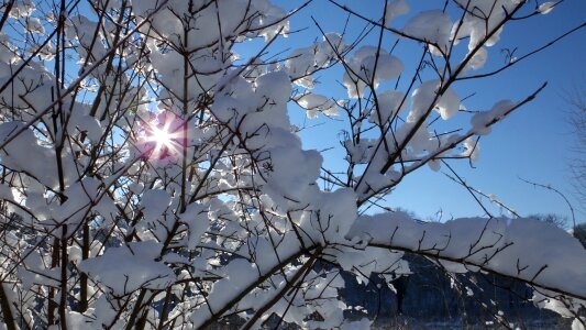 White sunlight