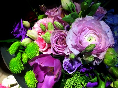 Flower spring romantic