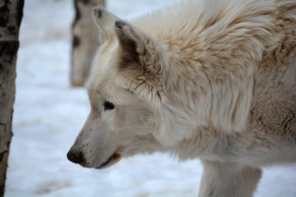 Profile outside winter