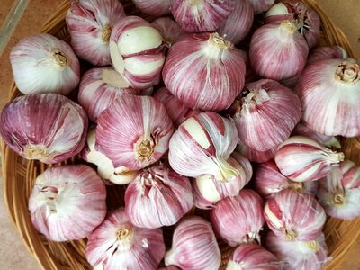Garlic power seasoning