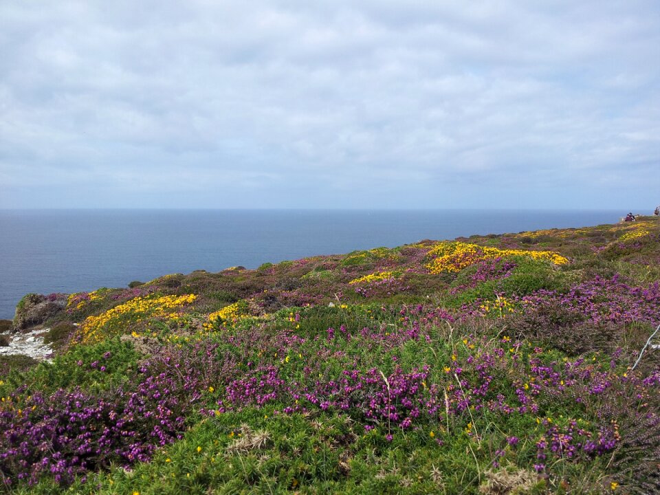 Horizon finistère side