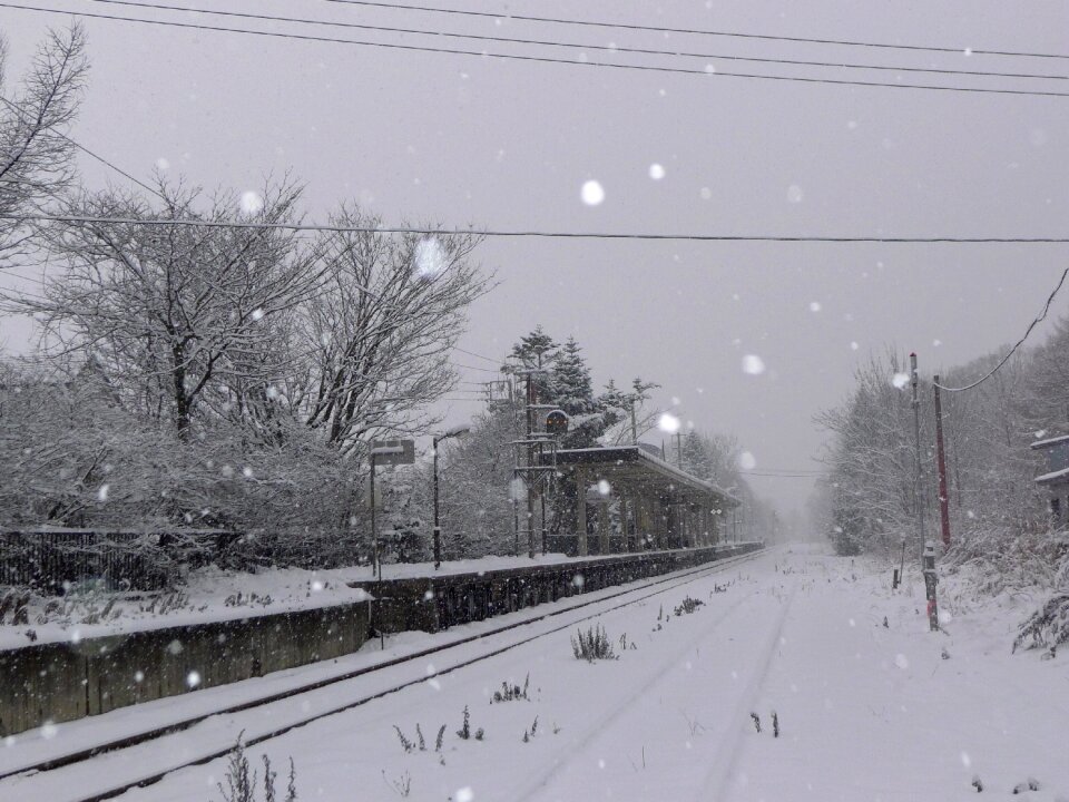 Snowing onuma park