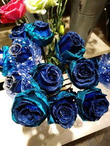 Flowers rose flower shop