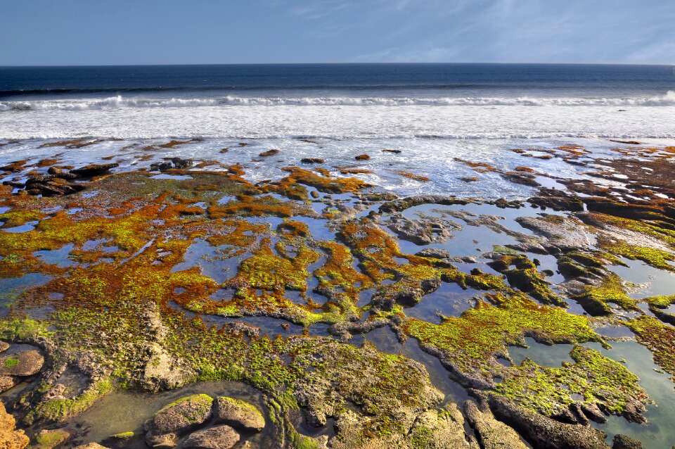 Water seaweed beautiful beaches