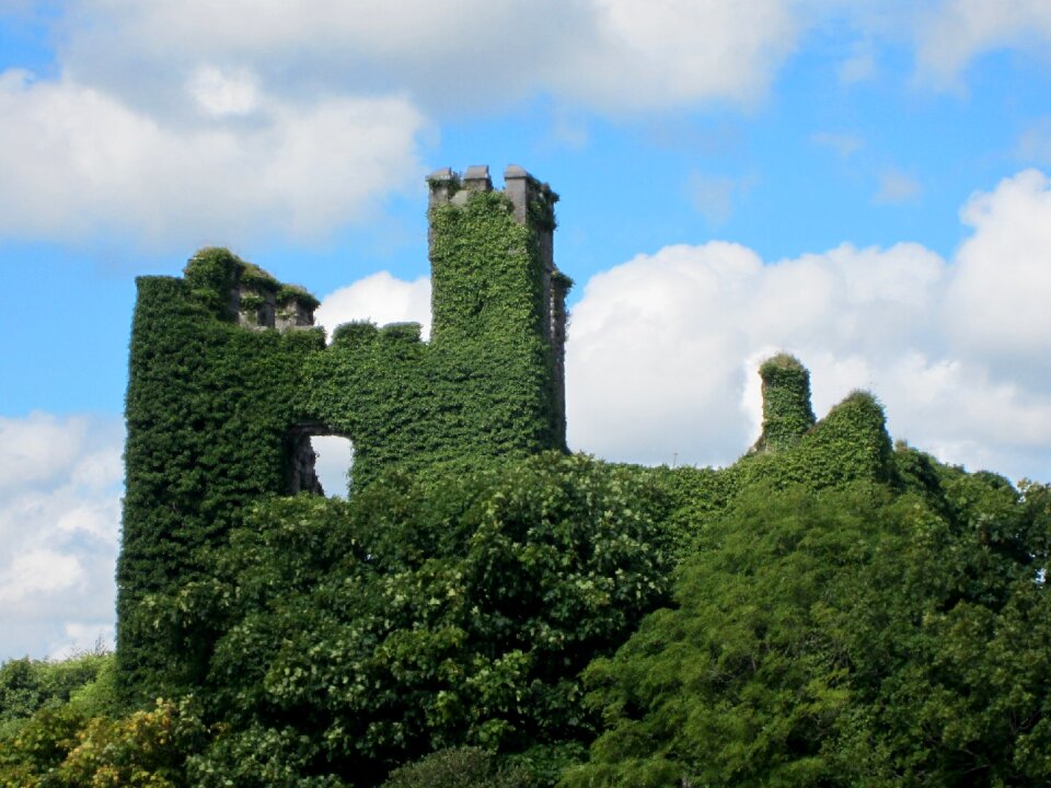 Monument ireland vegetation