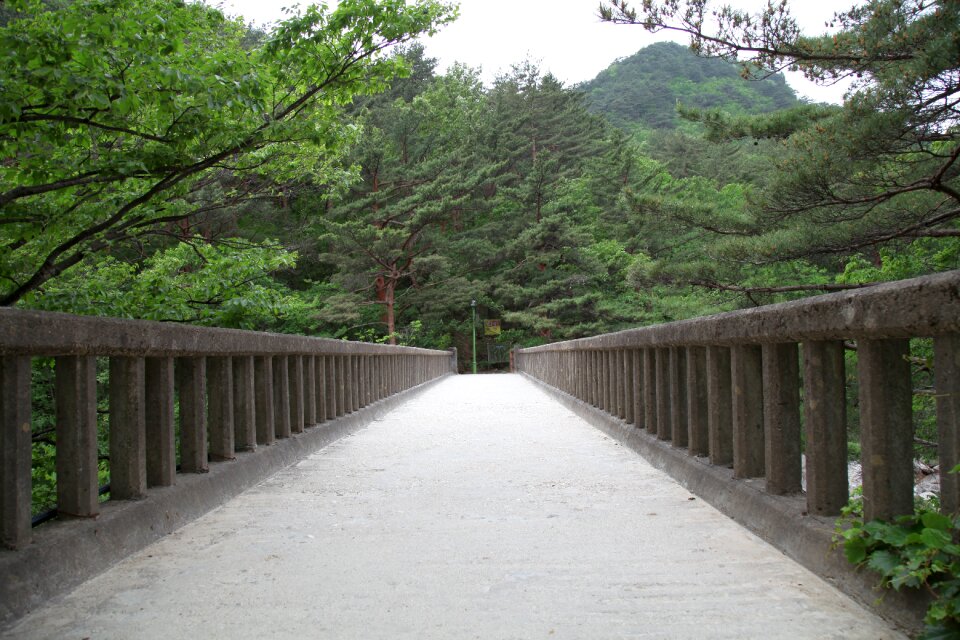 Mountain nature scenery