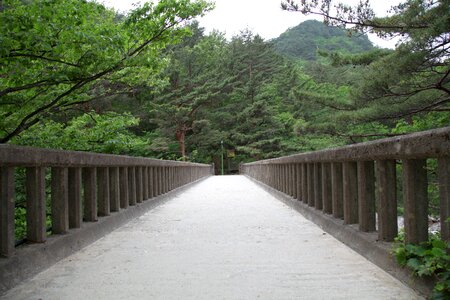 Mountain nature scenery