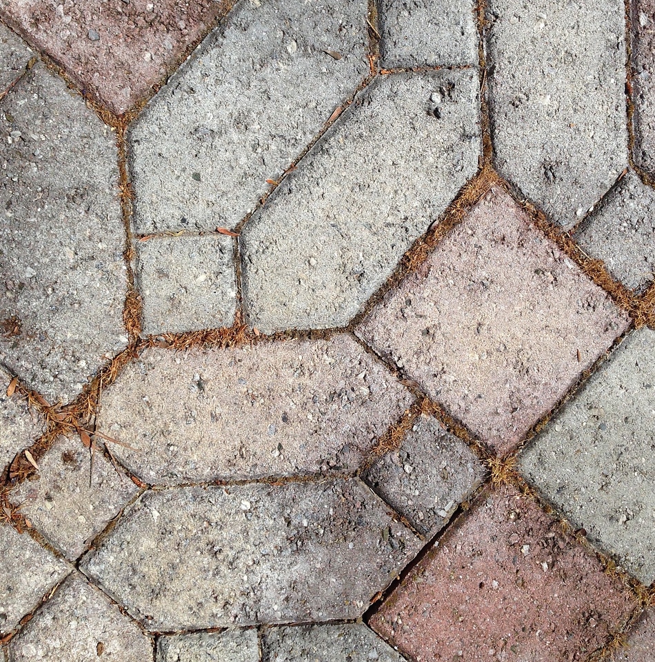 Stone path mosaic