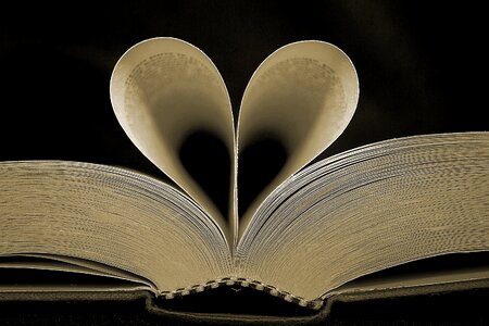 Heart love reading photo