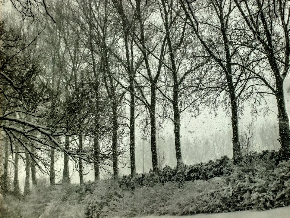 Freezing frost snowy