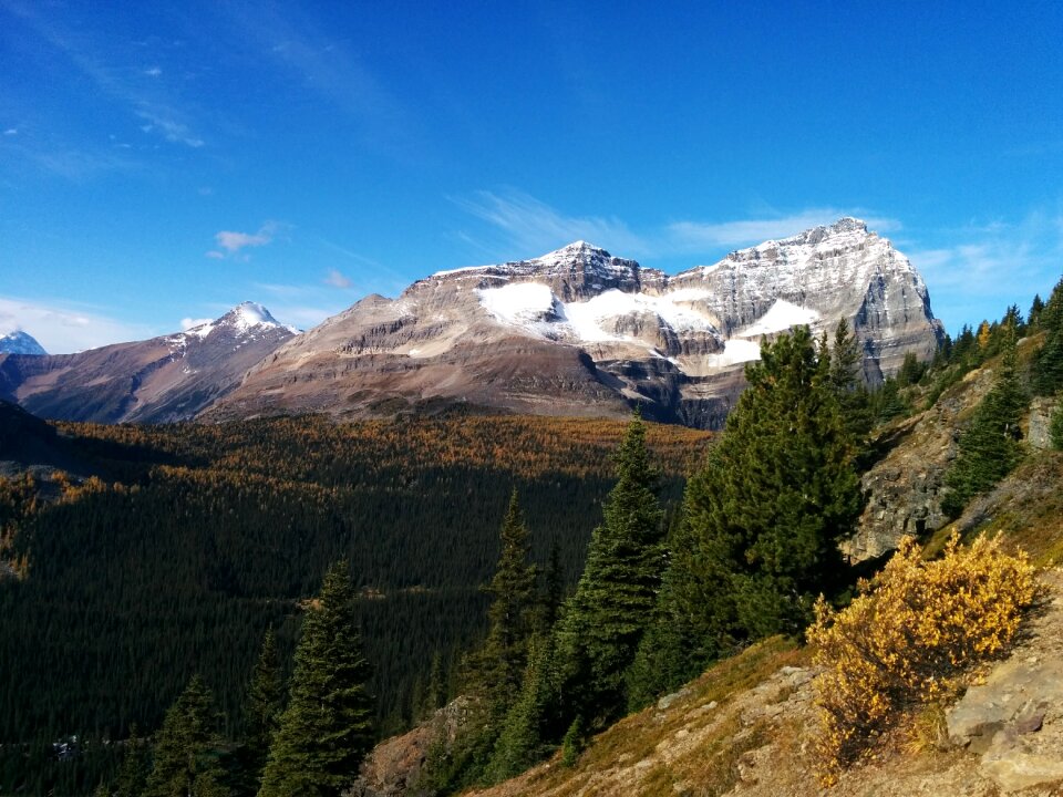 Mountains alberta