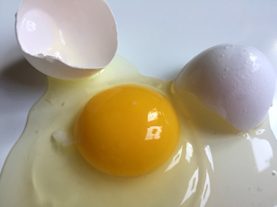 Broken egg white egg