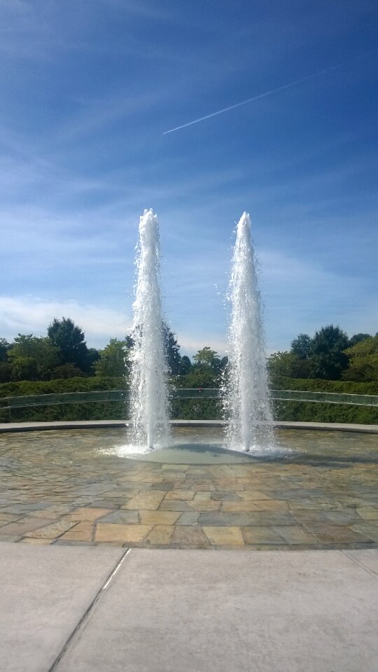 Flowing summer nature