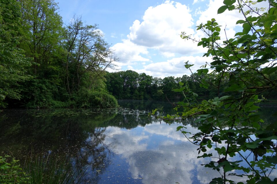 Dietesheim quarries mühlheim hesse