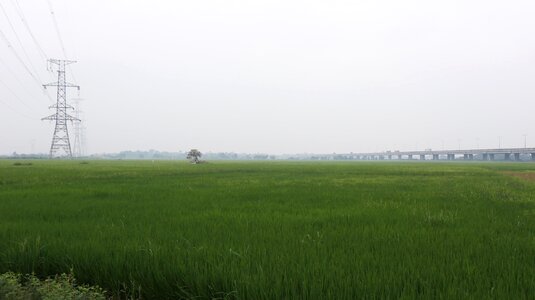 Green peaceful road photo