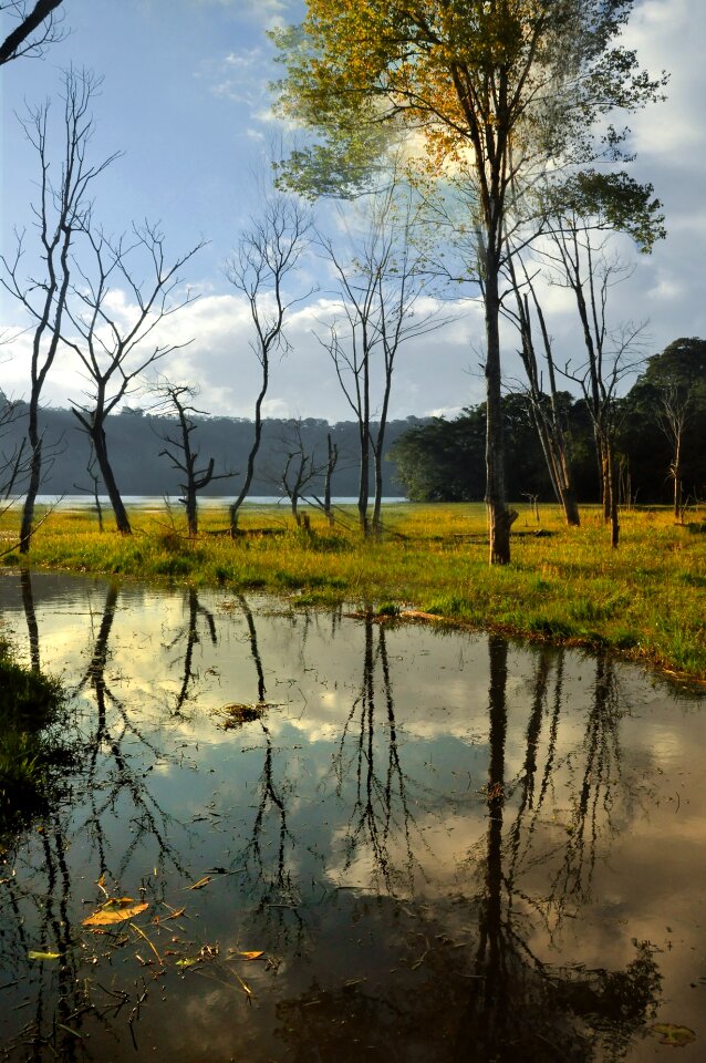 Panorama rest mirroring