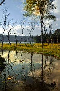 Panorama rest mirroring