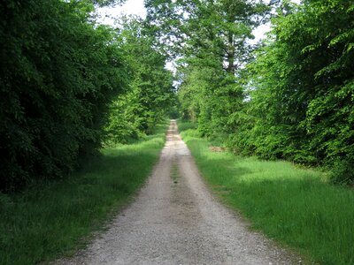 Trail hiking nature