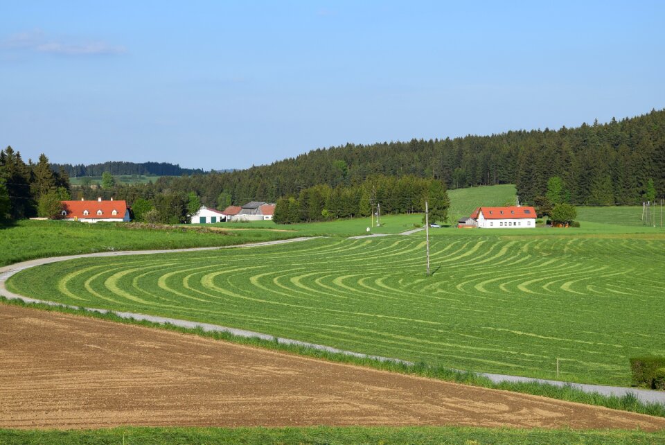 Landscape harvest ensiling
