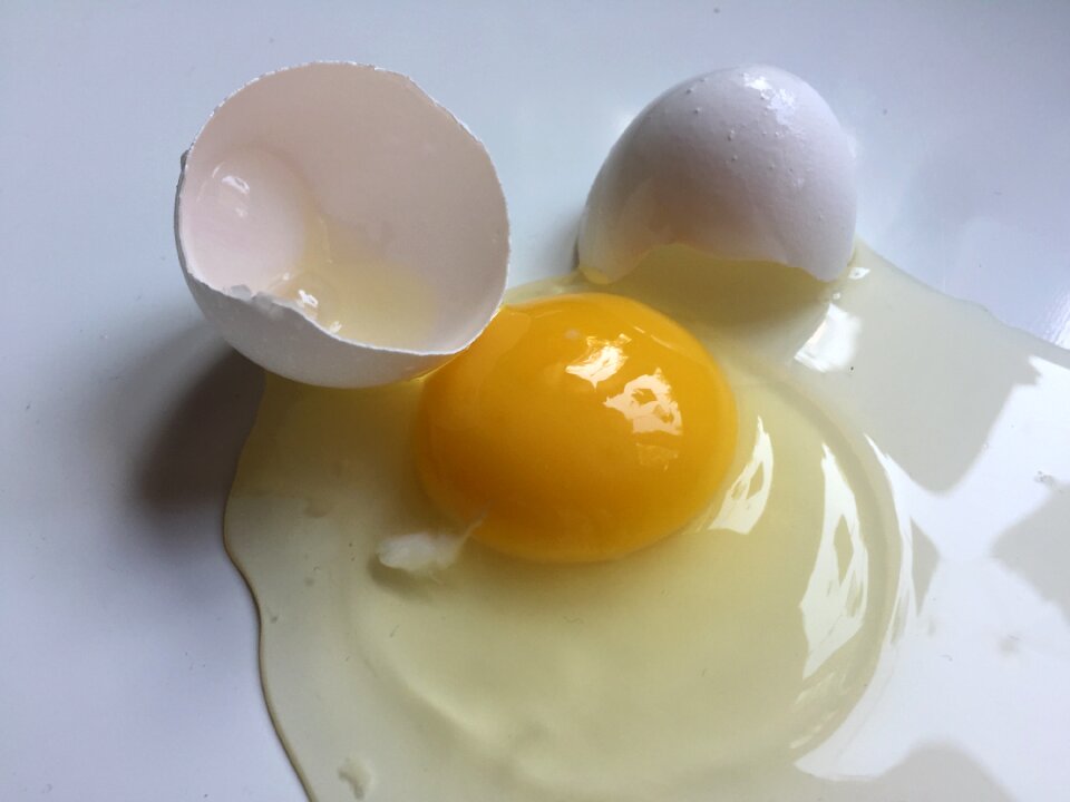 Broken egg white egg