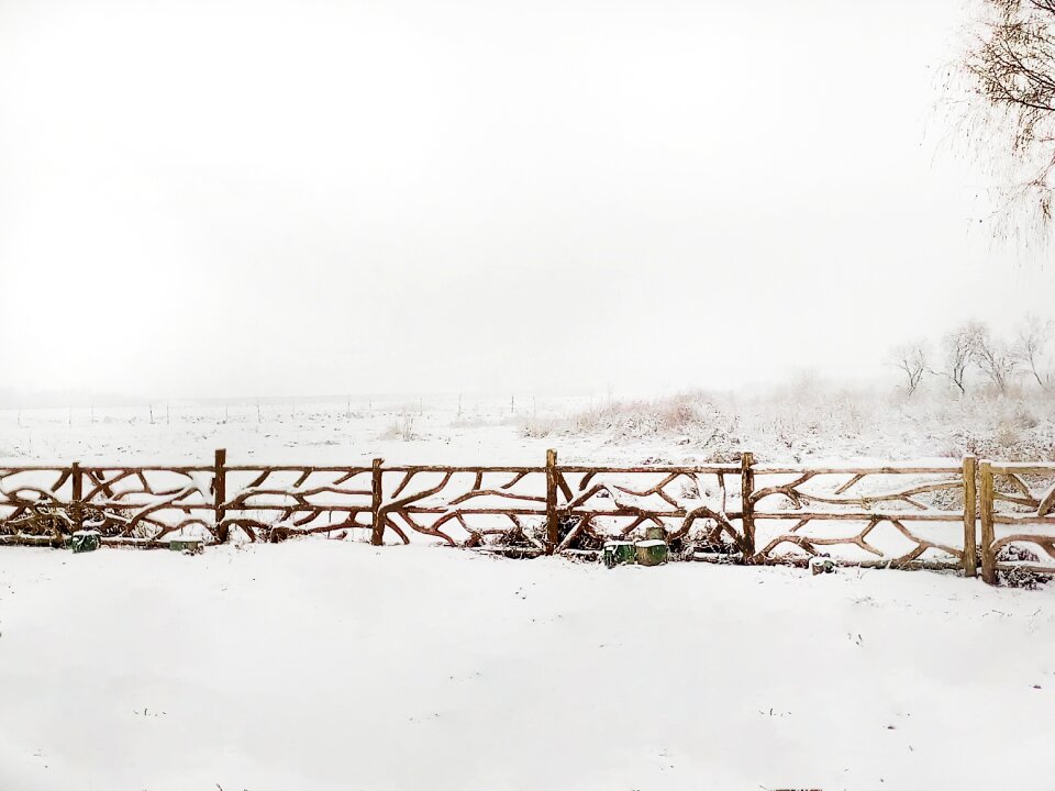 Snow header the scenery