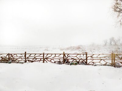 Snow header the scenery