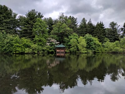 Maryland gazebo nature