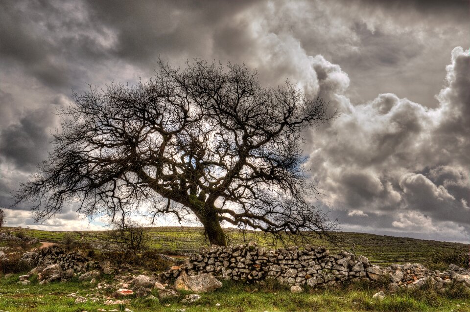Nature landscape light