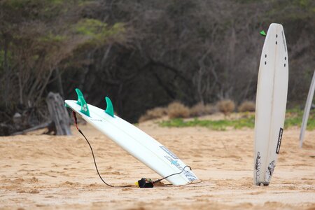 Surfboard maui beach
