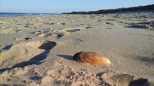 Sand holiday