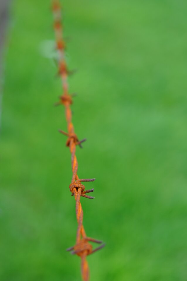 Iron fence danger