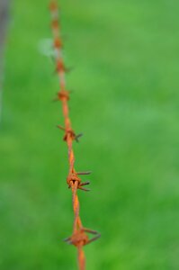 Iron fence danger photo