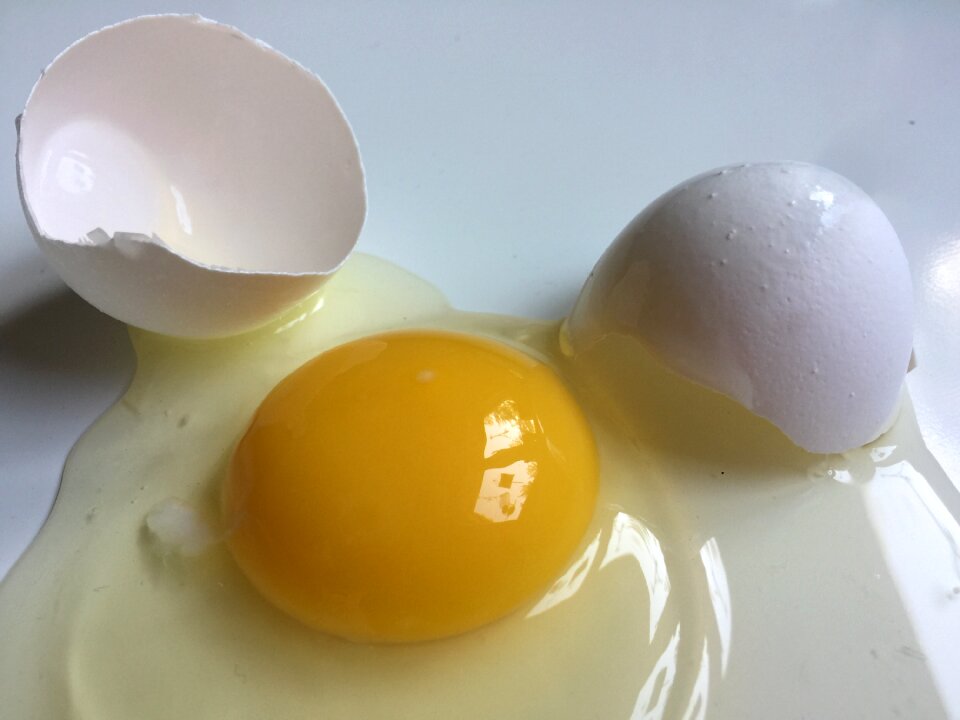 Broken egg white egg