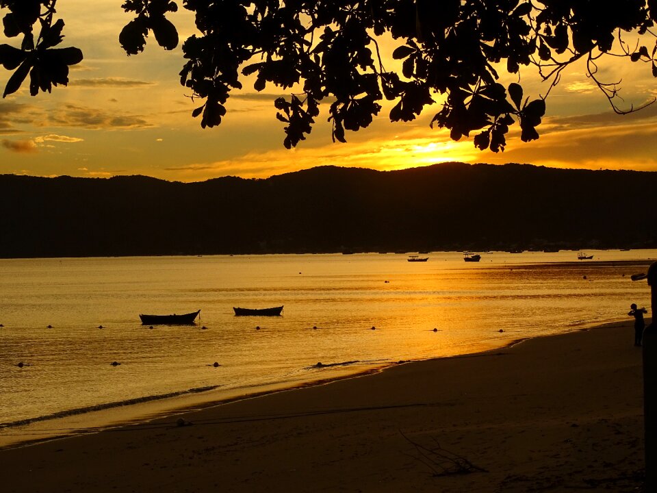 Beach landscape sunset