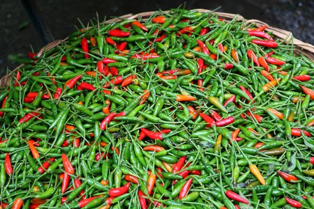 Pepper fair vegetables