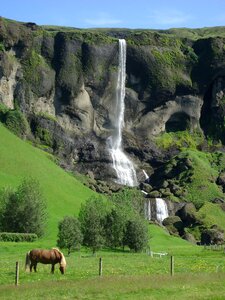 Cascade horse iceland