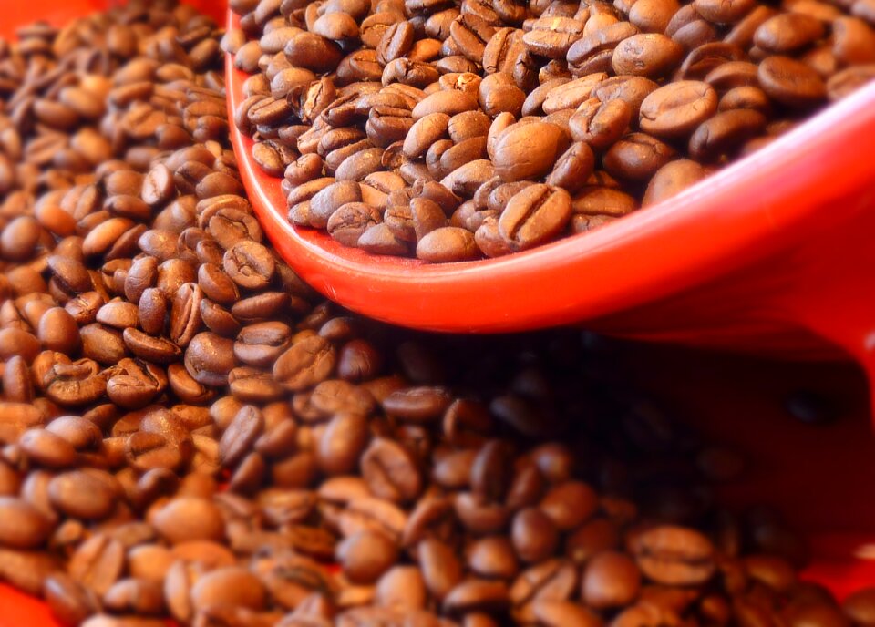 Caffeine roasted roasting