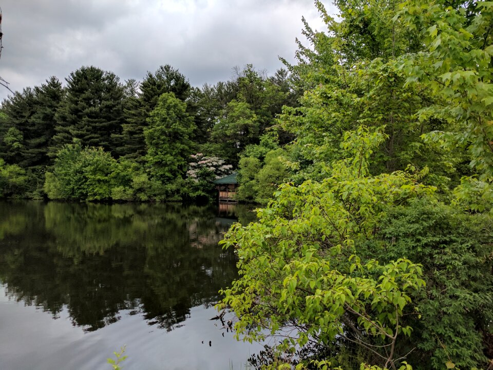 Maryland gazebo nature